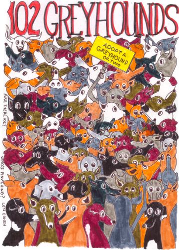 40_102_Greyhounds.JPG